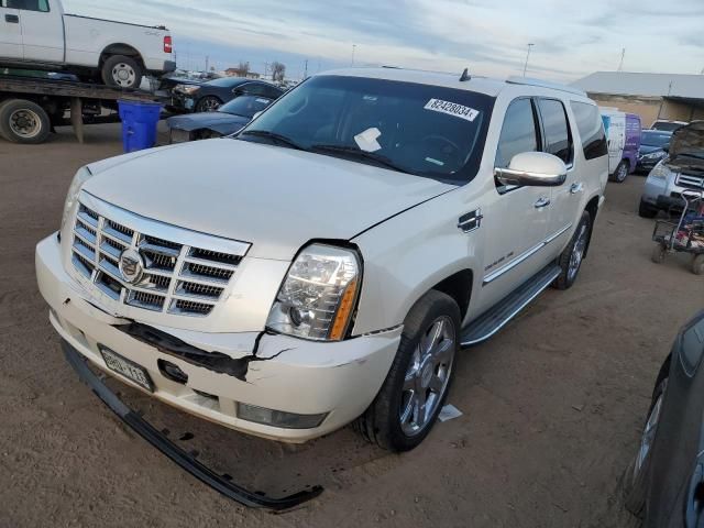 2010 Cadillac Escalade ESV Luxury