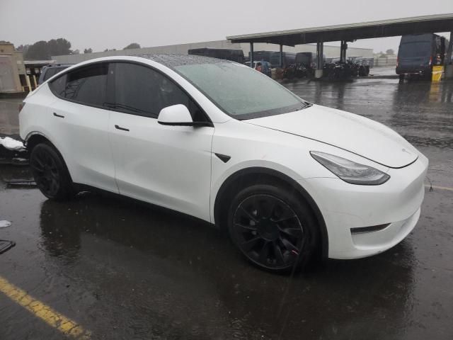 2020 Tesla Model Y