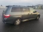 2006 Honda Odyssey EXL