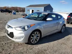 Hyundai salvage cars for sale: 2013 Hyundai Veloster