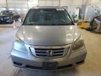 2008 Honda Odyssey EXL