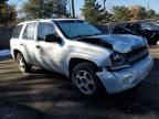 2007 Chevrolet Trailblazer LS