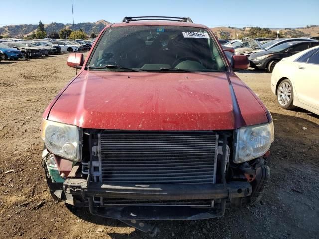 2009 Ford Escape Limited