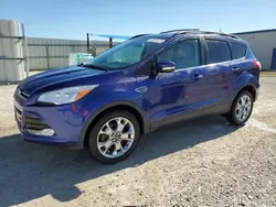 Salvage cars for sale at Arcadia, FL auction: 2013 Ford Escape SEL