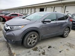 Salvage cars for sale at Louisville, KY auction: 2019 Honda CR-V EXL