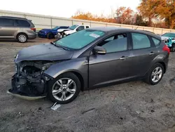 2013 Ford Focus SE en venta en Chatham, VA