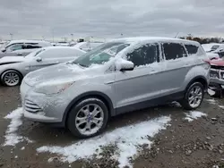 2013 Ford Escape SEL en venta en Indianapolis, IN