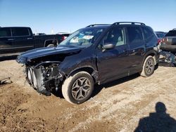 2024 Subaru Forester Premium en venta en Amarillo, TX