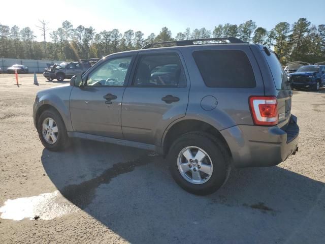 2012 Ford Escape XLT