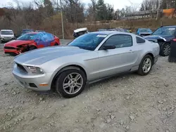 Ford salvage cars for sale: 2010 Ford Mustang