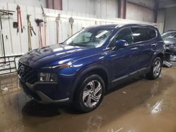 Salvage cars for sale at Elgin, IL auction: 2023 Hyundai Santa FE SEL