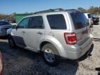 2010 Ford Escape Hybrid