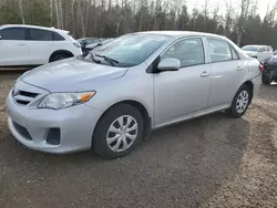 Salvage cars for sale from Copart Ontario Auction, ON: 2013 Toyota Corolla Base