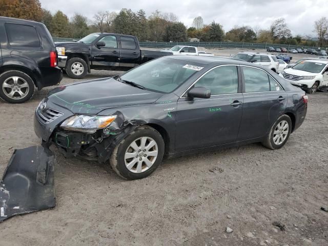 2008 Toyota Camry Hybrid