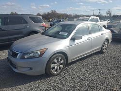 Honda salvage cars for sale: 2010 Honda Accord EXL