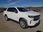 2023 Chevrolet Tahoe C1500 Premier