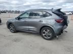 2024 Ford Escape ST Line