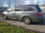 2013 Honda Odyssey EXL