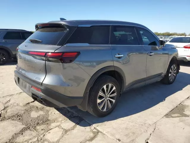 2023 Infiniti QX60 Pure