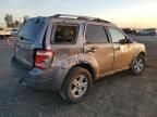 2008 Ford Escape HEV