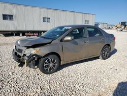 Toyota salvage cars for sale: 2010 Toyota Corolla Base