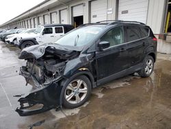 Ford Vehiculos salvage en venta: 2013 Ford Escape SE