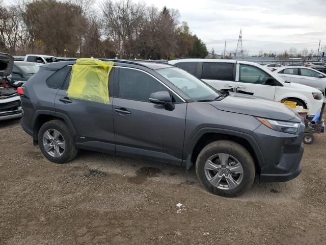 2023 Toyota Rav4 XLE