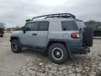 2013 Toyota FJ Cruiser