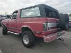 1991 Ford Bronco U100