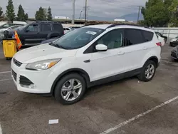 Ford Vehiculos salvage en venta: 2015 Ford Escape SE