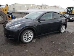 Salvage cars for sale at New Britain, CT auction: 2023 Tesla Model Y