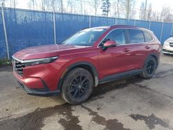 Salvage cars for sale at Moncton, NB auction: 2023 Honda CR-V Sport