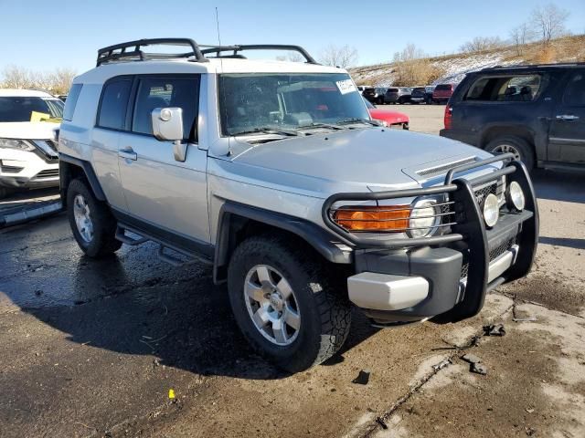 2007 Toyota FJ Cruiser