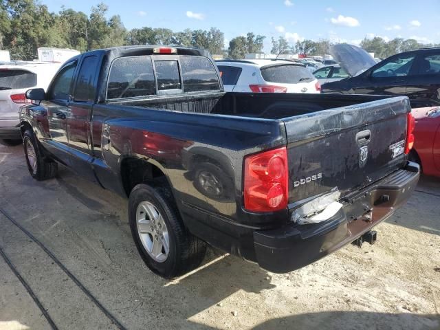 2010 Dodge Dakota SXT