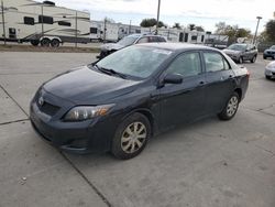 Toyota Vehiculos salvage en venta: 2009 Toyota Corolla Base