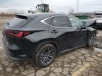 2023 Lexus NX 350