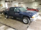 2004 Dodge Dakota Quad SLT