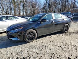 Hyundai salvage cars for sale: 2021 Hyundai Elantra Limited