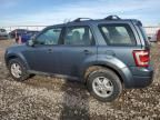 2010 Ford Escape XLS