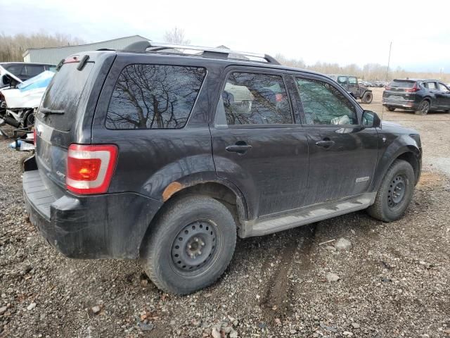 2008 Ford Escape Limited