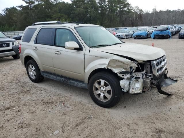 2012 Ford Escape Limited