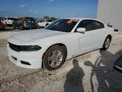 Salvage cars for sale at Jacksonville, FL auction: 2022 Dodge Charger SXT