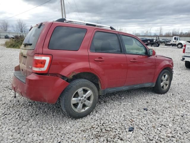 2010 Ford Escape Limited