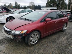 Honda salvage cars for sale: 2010 Honda Civic LX