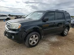 Salvage SUVs for sale at auction: 2010 Honda Pilot EXL