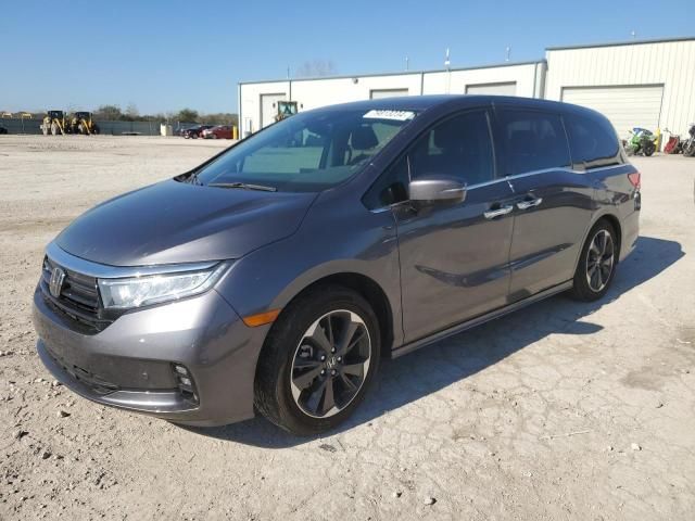 2024 Honda Odyssey Elite