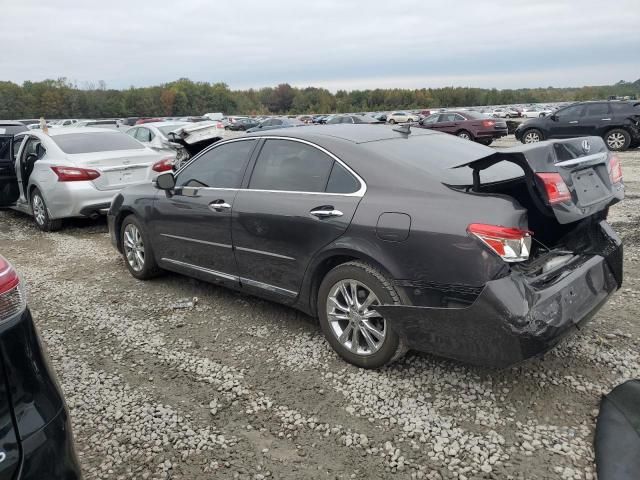 2011 Lexus ES 350