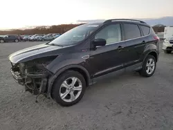 Ford salvage cars for sale: 2013 Ford Escape SE