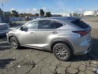 2020 Lexus NX 300H