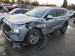 Salvage cars for sale at Portland, OR auction: 2023 Hyundai Santa FE SEL